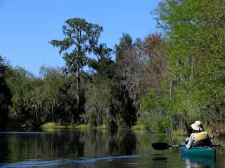 Alafia River State Park in Fort Lonesome, FL park photo