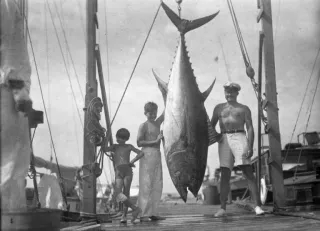 Event image for Happy Hour with the Historian: Following the Fish | Hemingway in Key West in Key West, FL