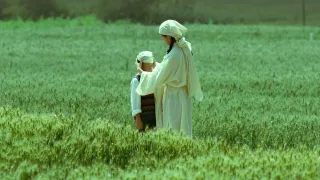 Living the Land movie photo 7