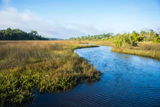 Long Creek Nature Preserve in Palm Coast, FL park photo