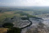Everglades National Park preview 4