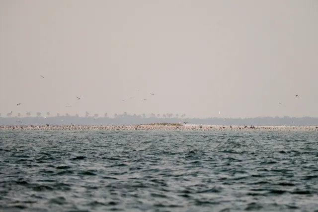 Passage Key National Wildlife Refuge