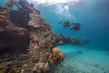 Dry Tortugas National Park preview 2