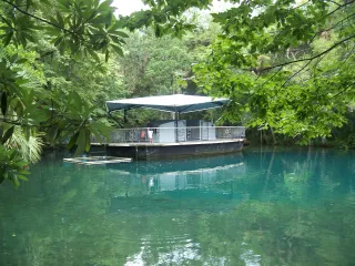 Ellie Schiller Homosassa Springs Wildlife State Park in Inverness, FL park photo