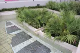 Harn Museum of Art preview 2
