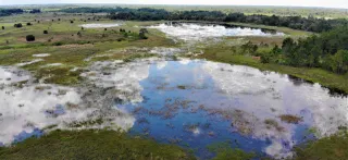 Conner Preserve in Dade City, FL park photo