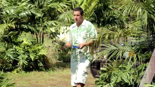 50 First Dates movie photo 8