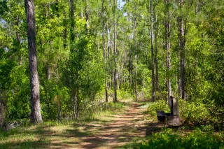 Sun 'n Lake Preserve in Sebring, FL park photo