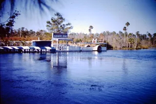 Weeki Wachee Springs State Park in Spring Hill, FL park photo