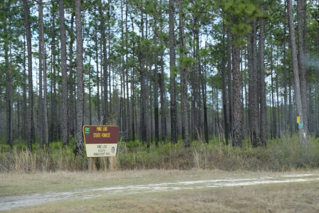 Pine Log State Forest