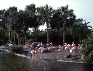 Zoo Miami photo 1