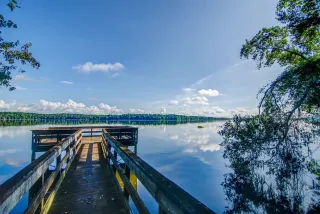 Williams Landing in Fort Braden, FL park photo