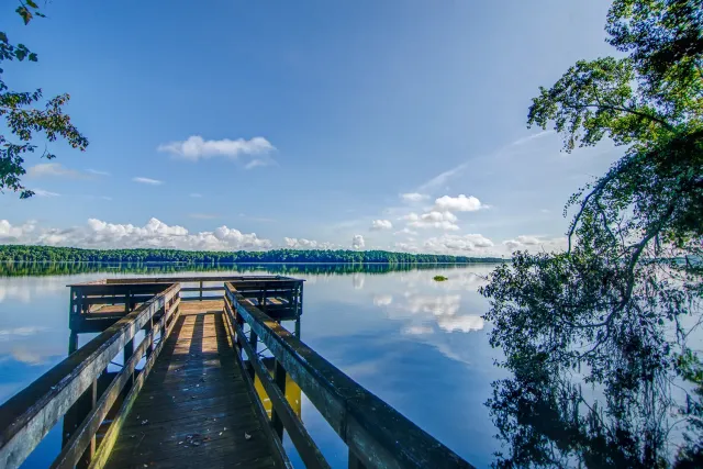 Williams Landing