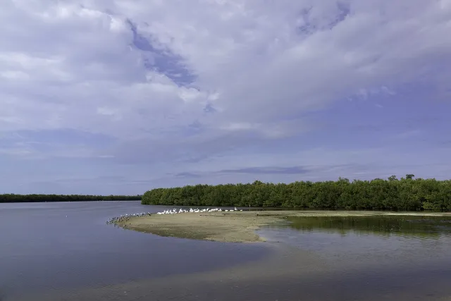 J N Darling National Wildlife Refuge