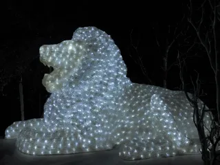 ZooTampa at Lowry Park photo 1
