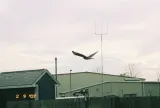 Florida Air Museum preview 3