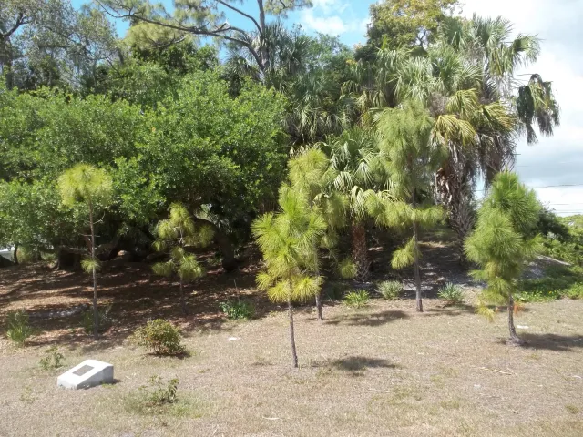 Indian Mound Park