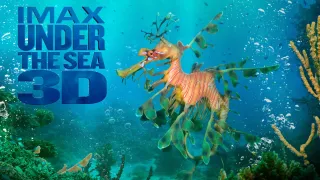 Under the Sea 3D movie photo 4