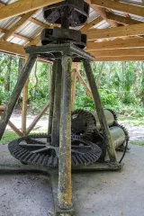 Dunlawton Sugar Mill Gardens preview 3