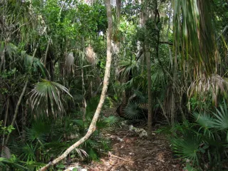 Curry Hammock State Park in Marathon, FL park photo