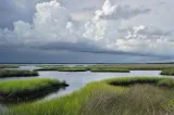 St. Marks National Wildlife Refuge preview 2