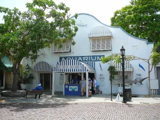 Key West Aquarium in Key West, FL attraction photo