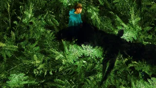 The Animal Kingdom movie photo 3