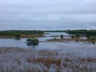Rookery Bay National Estuarine Research Reserve in Marco Island, FL park photo
