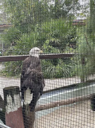Calusa Nature Center and Planetarium in Fort Myers, FL attraction photo