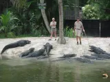 Naples Zoo at Caribbean Gardens preview 1