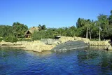 Discovery Cove preview 1