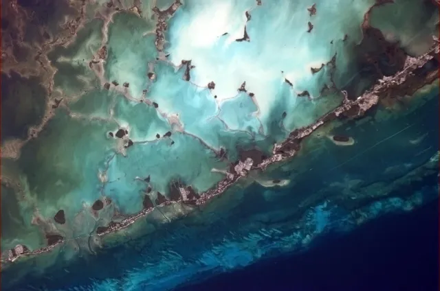 Windley Key Fossil Reef Geological State Park