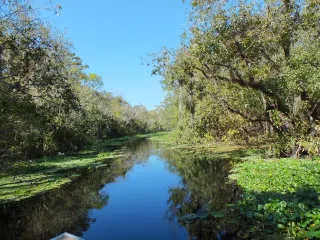 Lake Woodruff National Wildlife Refuge in DeLand, FL park photo
