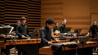 Event image for USF Percussion Ensemble in Tampa, FL