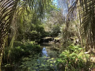 Kanapaha Botanical Gardens in Haile Plantation, FL park photo