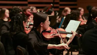 Event image for USF Symphony Orchestra in Tampa, FL