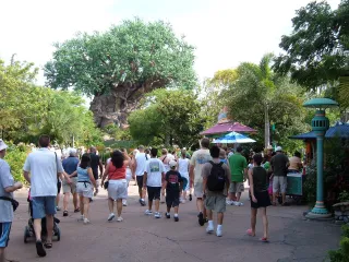Disney's Animal Kingdom in Bay Lake, FL attraction photo