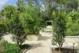 Mounts Botanical Garden preview 3