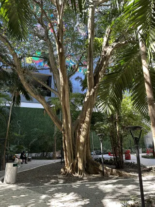 Brickell Park photo 6
