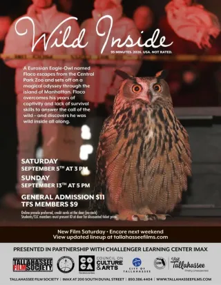 Movie poster for Wild Inside