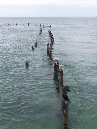 Higgs Beach photo 4