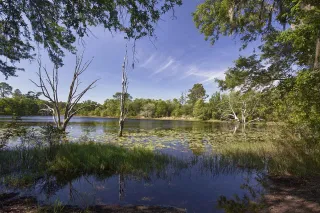 Apalachee Wildlife Management Area in Marianna, FL park photo