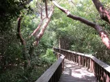Gumbo Limbo Nature Center preview 1
