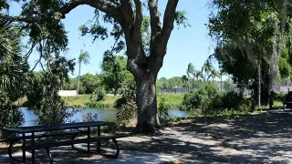 Palma Sola Park in Bradenton, FL park photo