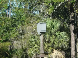 St. Marks National Wildlife Refuge photo 1