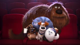 The Secret Life of Pets movie photo 7