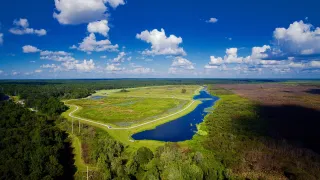 Sweetwater Wetlands Park in Gainesville, FL park photo