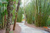 McKee Botanical Garden preview 1