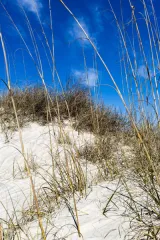 Timucuan Ecological & Historic Preserve preview 1