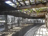 Holocaust Memorial Miami Beach preview 4